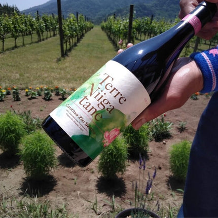 Terre Niigatane Nebbi-E-B 內比欸比